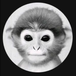 Meet your Posher, Elijah